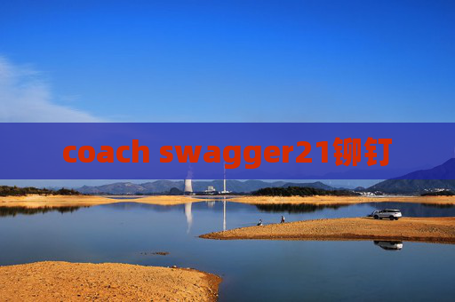 coach swagger21铆钉